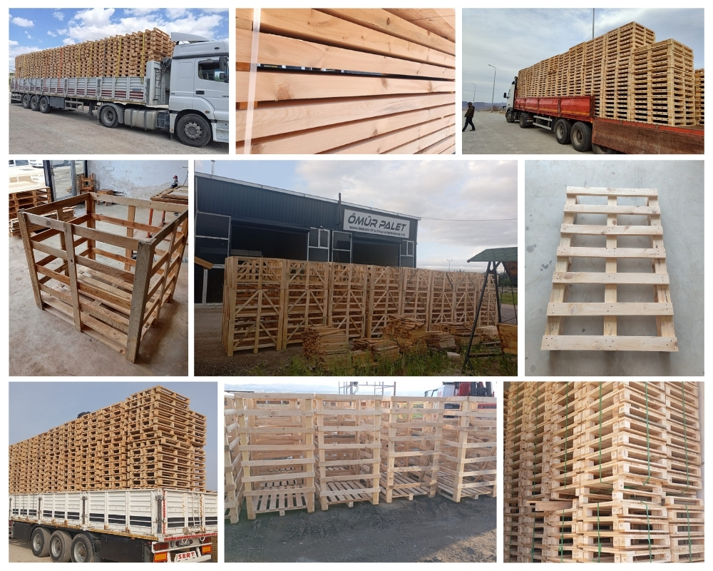 Monterotondo Palette Europe, Acheter des palettes en gros